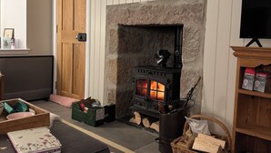 Una sala de estar acogedora con una chimenea de piedra, un cuadro enmarcado encima y un televisor sobre un mueble a la derecha.