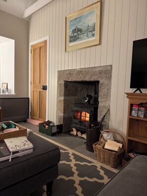 A cozy living room with a stone fireplace, a framed painting above it, and a television on a stand to the right. - Secluded Rural Woodland Cottage with Bike Store nr Ballater (Logie Coldstone)