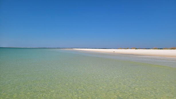 Ein freier Blick auf einen Strand mit seichtem, klaren Wasser und einem sandigen Ufer.