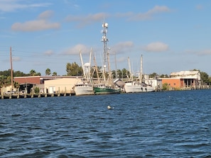 Sekalaista
