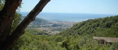 Vista de un paisaje costero con abundante vegetación y una ciudad distante.