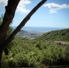 Terraza en la azotea