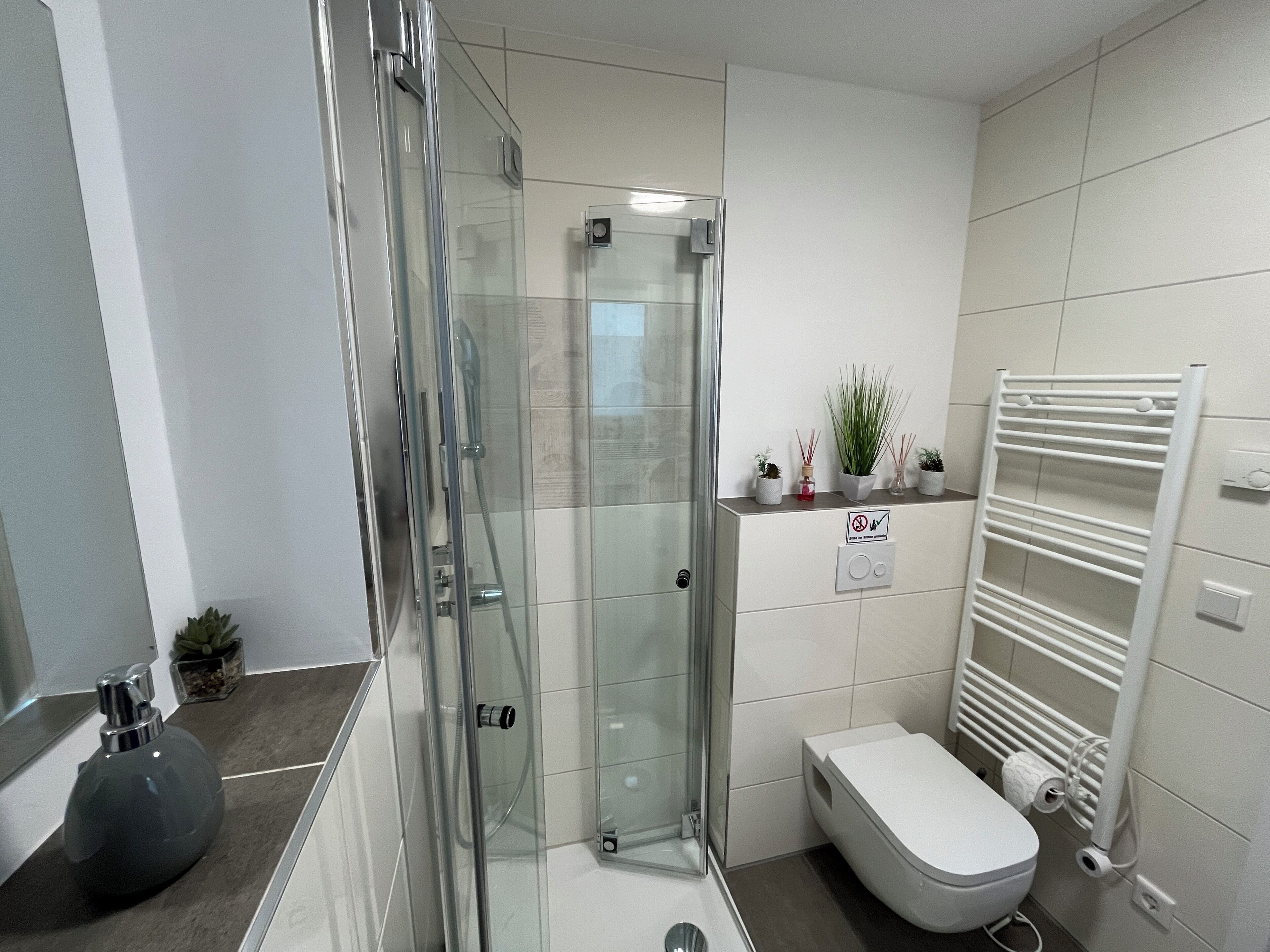 Dusche, Haartrockner, Handtücher, Seife