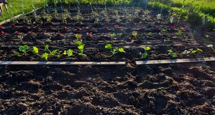 Chambre dâhĂŽtes « La SirĂšne » avec vue sur mer et Wi-Fi Ă Saint-Valery-sur-Somme