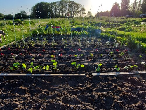 Guest Room "La Sirène" with Sea View and Wi-Fi in Saint-Valery-sur-Somme