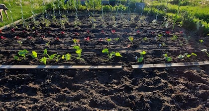 Guest Room "La SirĂšne" with Sea View and Wi-Fi in Saint-Valery-sur-Somme