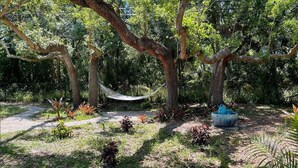 Un'amaca tra gli alberi in un giardino, con una ciotola blu a terra.