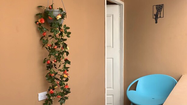 Un couloir avec une plante suspendue, une chaise bleue et une porte blanche.