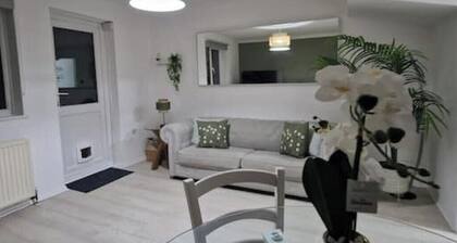 House near Reading Hospital/Contractors/Students