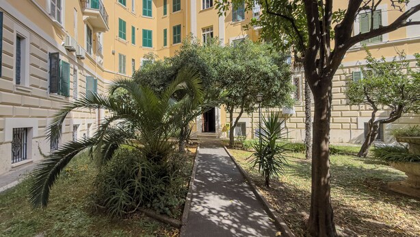 Um pátio com um caminho pavimentado, rodeado por edifícios com persianas verdes e uma árvore que oferece sombra.