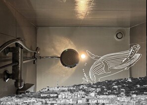 Miscellaneous - LE PULPICOOL (Sète)