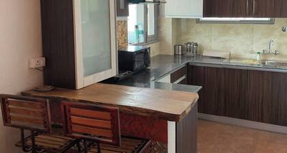 Valley View 1BHK near Solan, WiFi,Parking, Homestay for Couples, Workation Ready