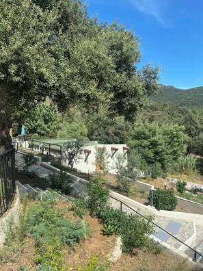 Terrain de l’hébergement 