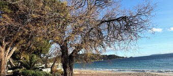 Sea, nature and calm