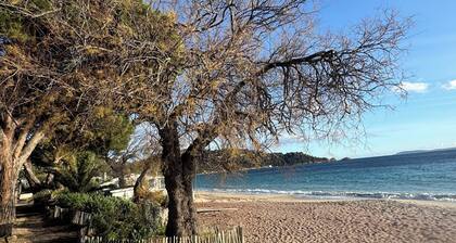 mer ,nature, et calme