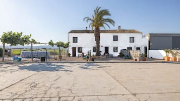Un edificio blanco con techo de tejas, una palmera y plantas en macetas.