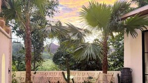A poolside area with a hammock, palm trees, and a view of the sky. - Maha Villa Ubud  (Sukawati)