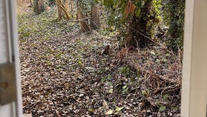 A view through a door into a garden with dense foliage and a ground covered in dry leaves. - Deandale Stays (Wilmslow)