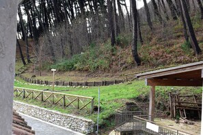 Departamento, balcón | Áreas de la propiedad