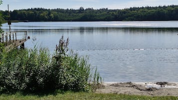 A calm lake with a dock and dense forest in the background.
