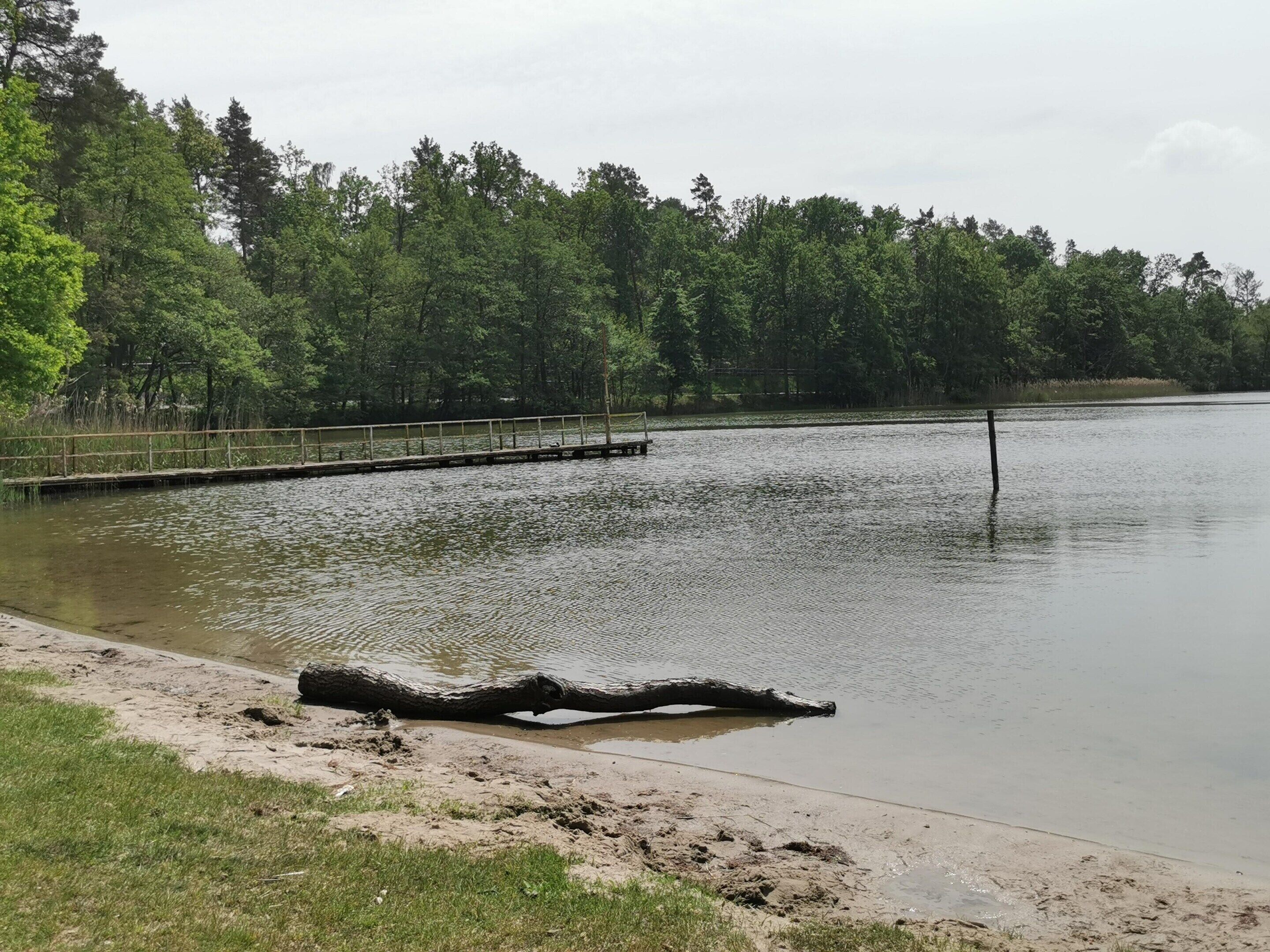 Un lago tranquillo con un molo di legno che si protende nell'acqua, circondato da alberi fitti.