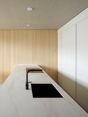 Interior - Luxury Twin Homes – 400m² of Architectural Design in Western Austria (Altach)