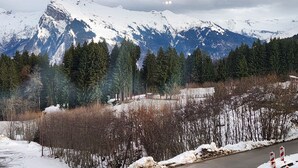 Paisaje nevado de una montaña, con una carretera en primer plano y una zona boscosa.