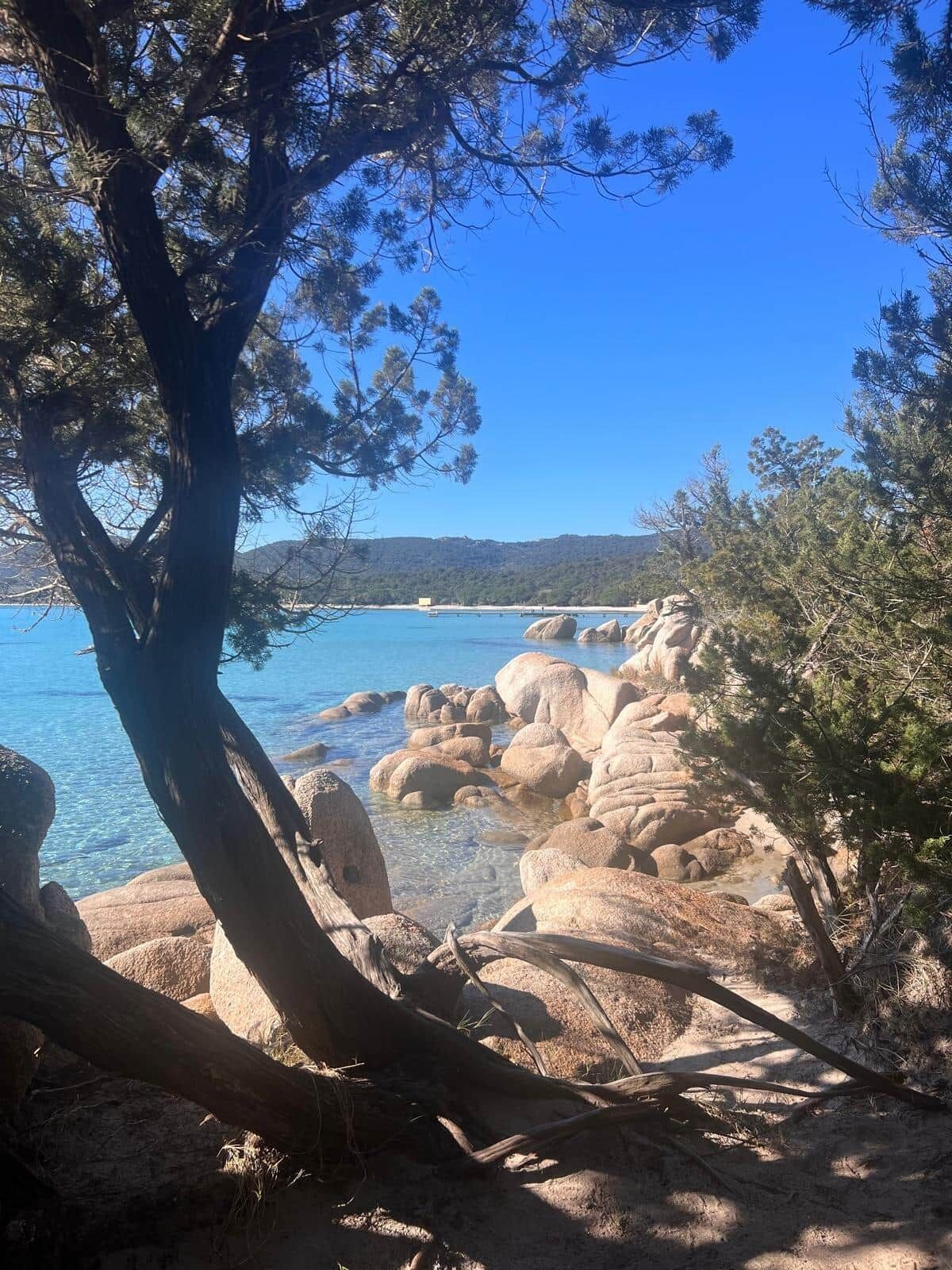 A coastal landscape with clear blue water, rocky formations, and a prominent tree.