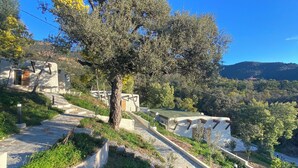 Une propriété située sur une colline, avec un grand arbre, des allées pavées de pierres et une vue sur le paysage environnant.