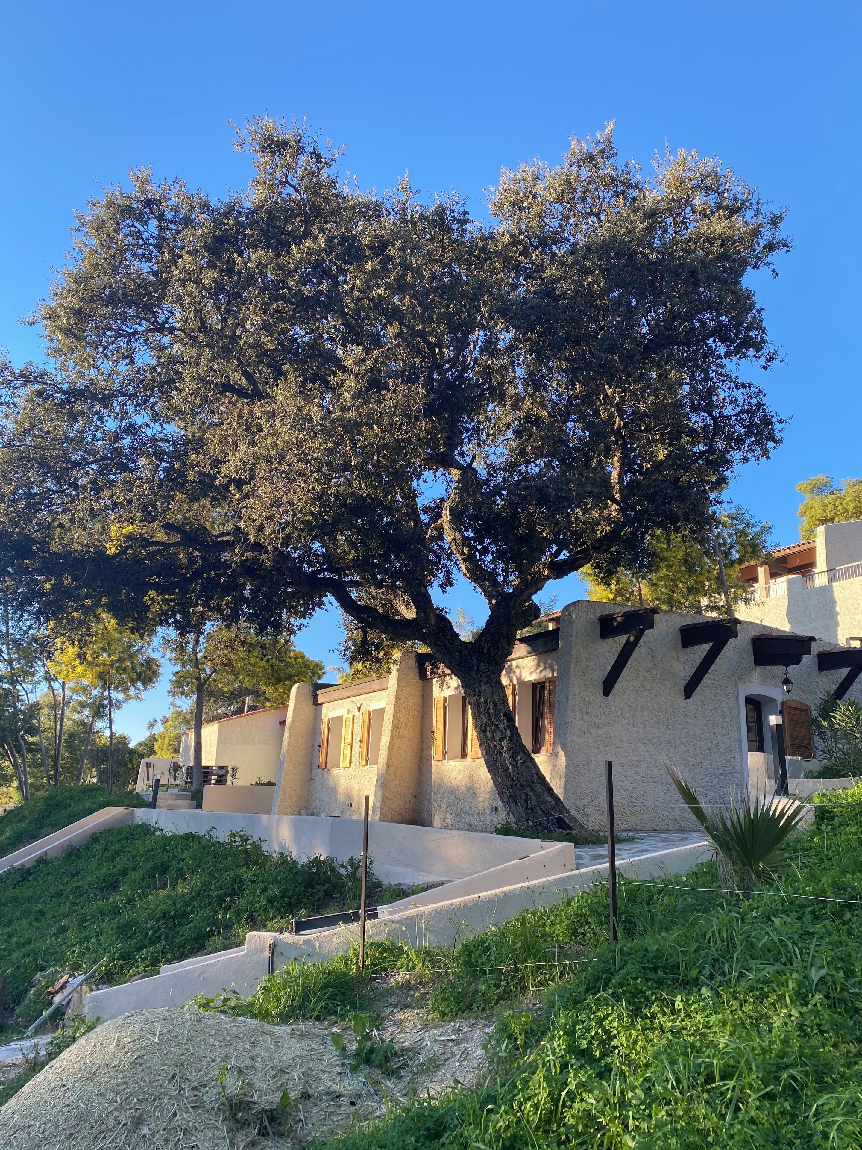 Un arbre se trouve devant un immeuble portant le numéro 7777.