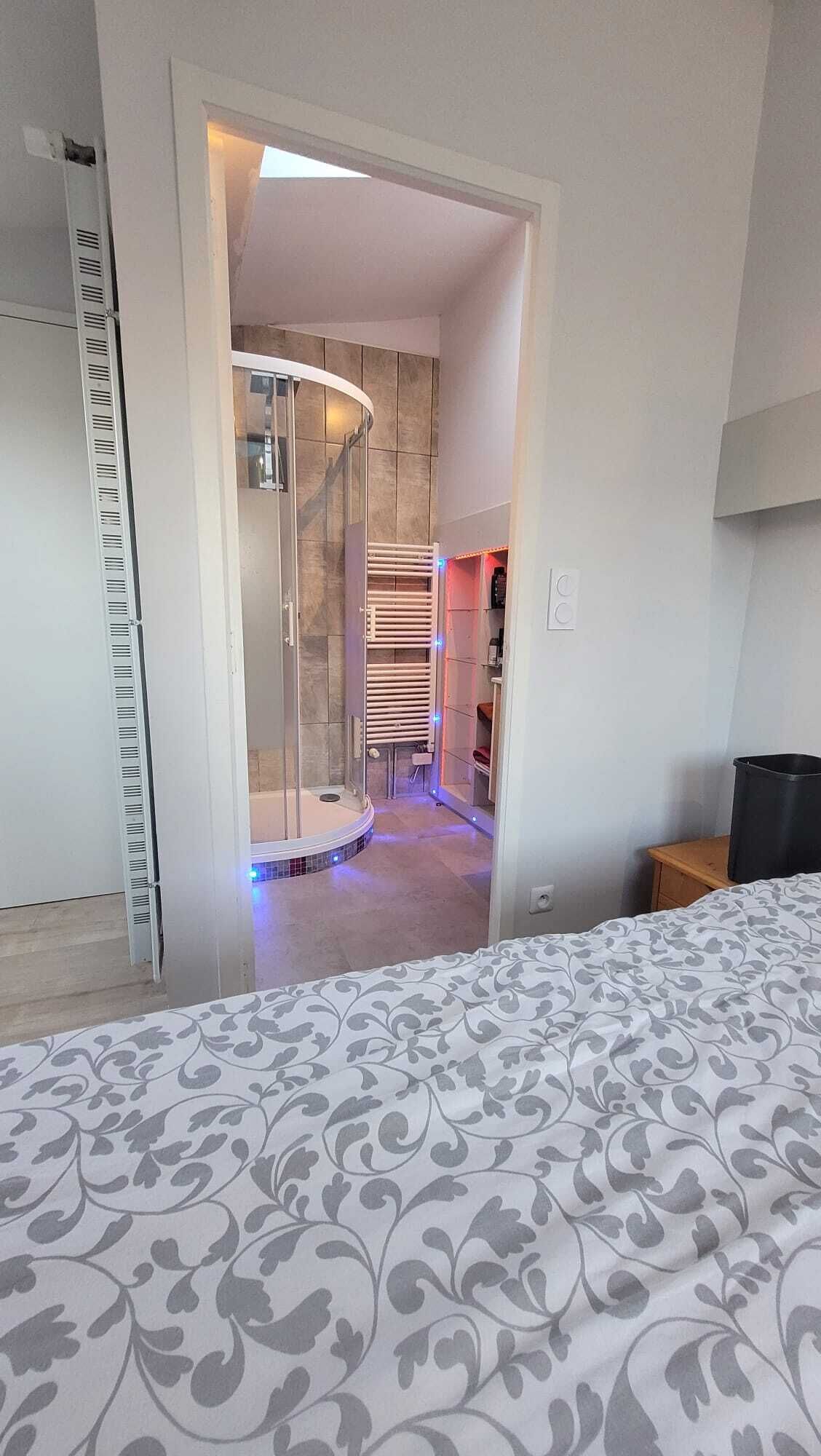 1 chambre, bureau, fer et planche à repasser, lit parapluie
