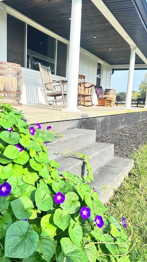 Detall de l'exterior