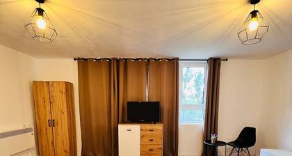 Master Adventure Guest House in delightful Vadu CriÈului with AC