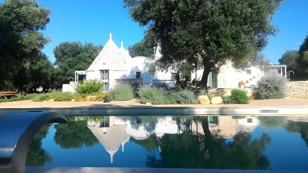 A white building with a pointed roof, surrounded by trees and a reflective pool.