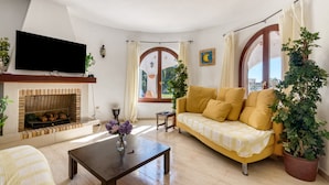 Una sala de estar con chimenea, sofá, televisor y plantas en macetas.