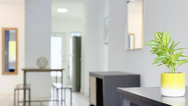 Interior - 1BR Miami Beach Apt w/ 3 Queens + Free Parking (Miami Beach)