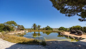 Eine ruhige Außenanlage mit Teich, Kiesweg und Skulpturen.