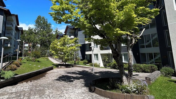 A residential area with modern buildings, a paved walkway, and a tree with green leaves. - Apartment in Pucon (Pucon)