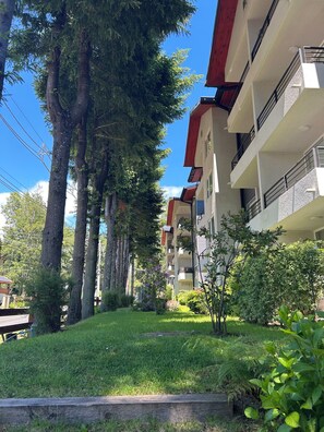 Property grounds - Apartment in Pucon (Pucon)
