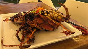 A lobster on a white plate, outdoor seating with white chairs, and a view of the ocean. - Your cozy SPA feeling with your in house huge jacuzzi awaits you 400m from beach (la caleta)