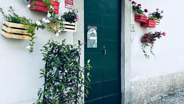 Un edificio con puerta verde, plantas en macetas y jardineras en la pared.