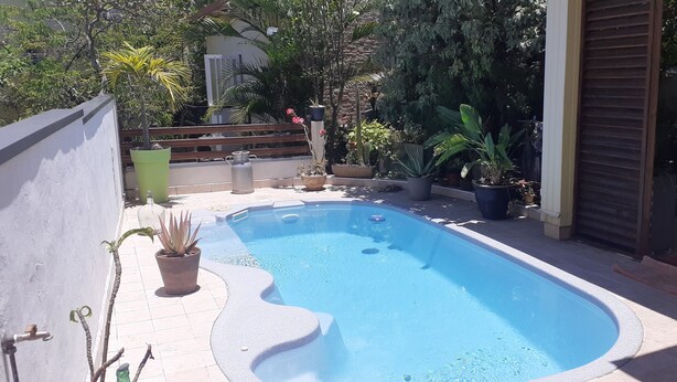 A rectangular swimming pool with a smooth edge, surrounded by potted plants and a wooden bench. - La Kaz Thomas (Saint-Leu)