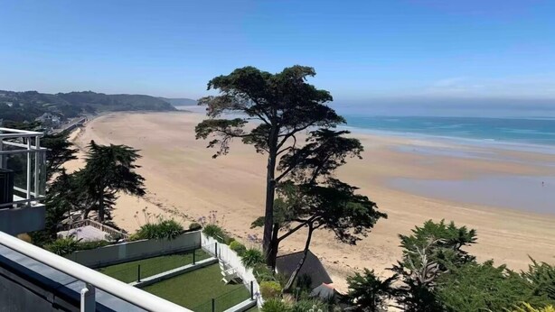 Blick auf einen Strand von einem Balkon aus, mit einem Baum im Vordergrund.