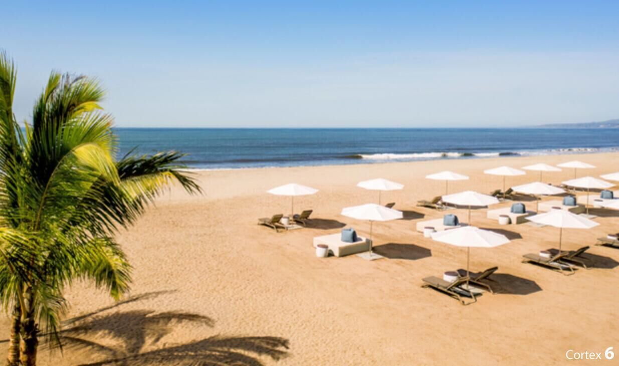 A beach with white umbrellas and lounge chairs arranged in rows.
