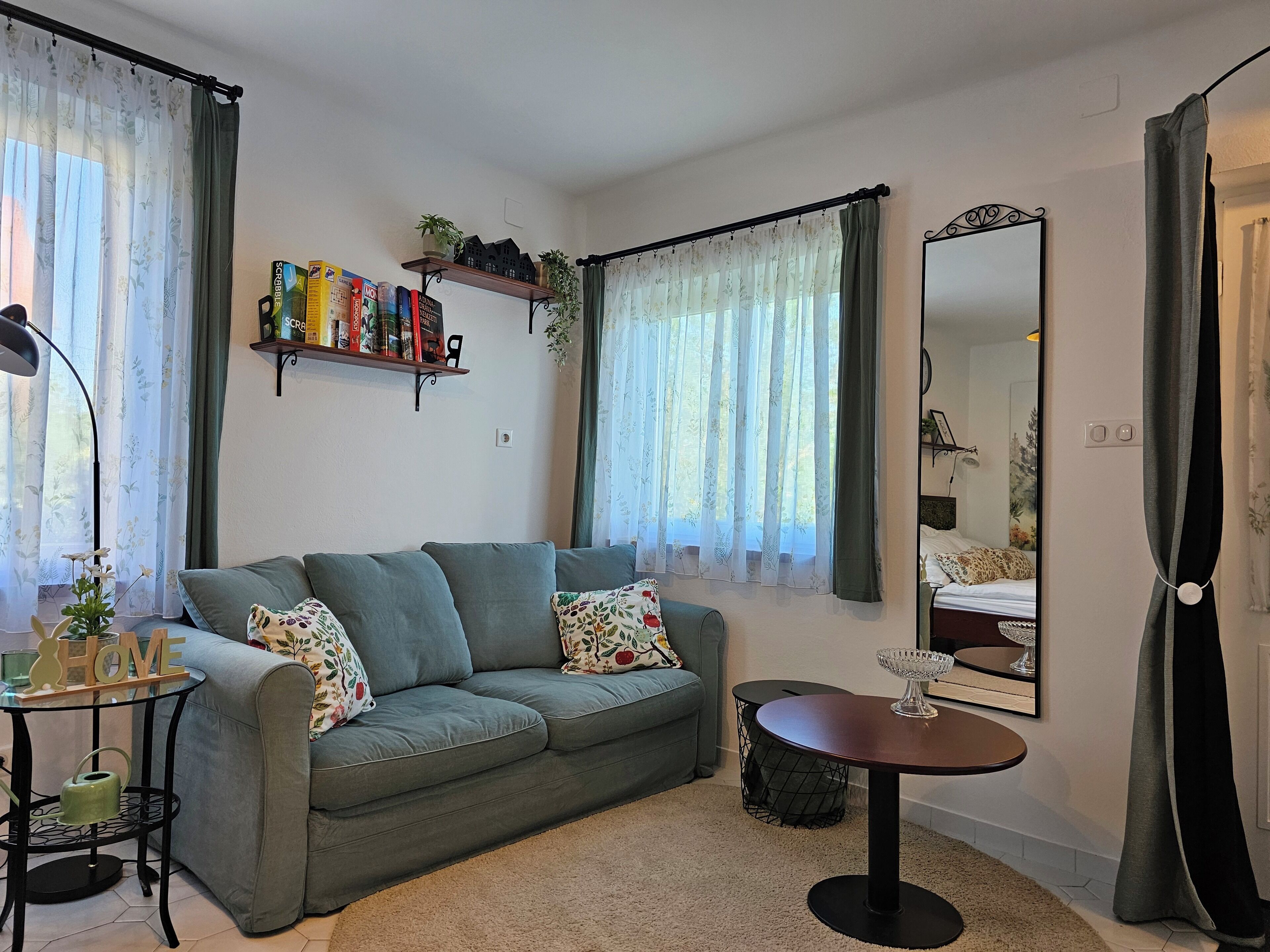 Smart TV, fireplace, books