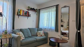 Smart TV, fireplace, books