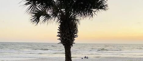 Casa, varias camas (Gulfs Edge Townhome #16 - Sealee) | Playa | En la playa