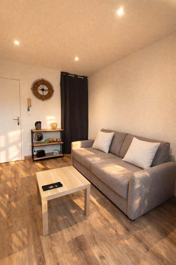 تلفزيون