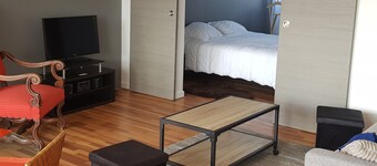 St Malo 100 m from Plage Du Val Rothéneuf, sea view.