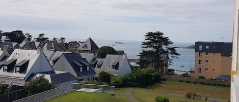 A coastal residential area with houses, a grassy lawn, and a view of the sea.